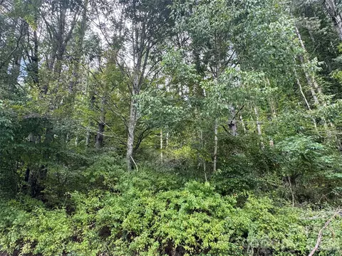 000 Puncheon Fork Rd, Mars Hill, NC 28754 photo 13
