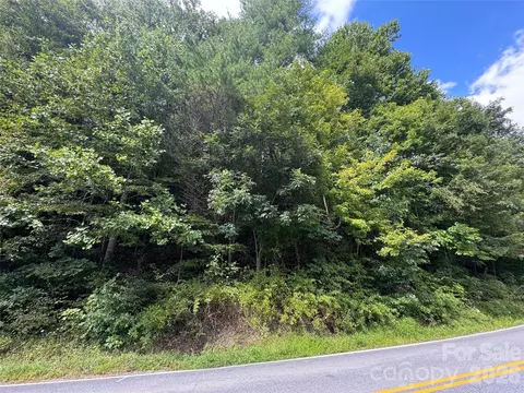 000 Puncheon Fork Rd, Mars Hill, NC 28754 photo 16