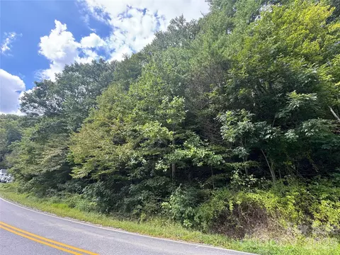 000 Puncheon Fork Rd, Mars Hill, NC 28754 photo 15