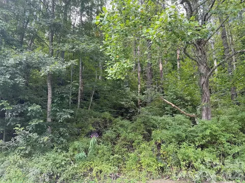 000 Puncheon Fork Rd, Mars Hill, NC 28754 photo 14