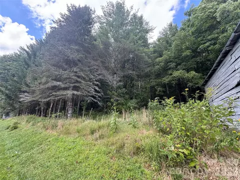 000 Puncheon Fork Rd, Mars Hill, NC 28754 photo 4