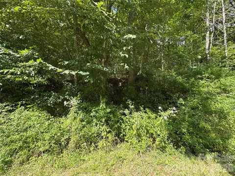 000 Puncheon Fork Rd, Mars Hill, NC 28754 photo 19