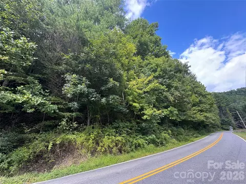 000 Puncheon Fork Rd, Mars Hill, NC 28754 photo 17