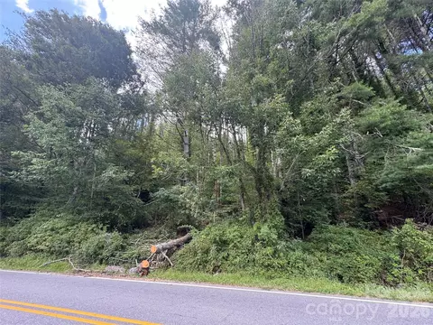 000 Puncheon Fork Rd, Mars Hill, NC 28754 photo 9