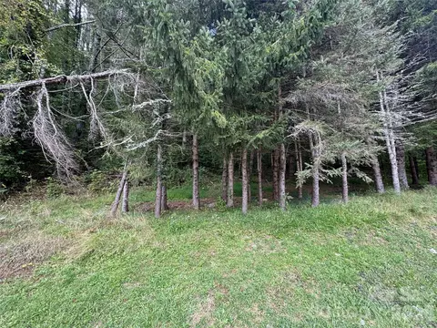 000 Puncheon Fork Rd, Mars Hill, NC 28754 photo 8