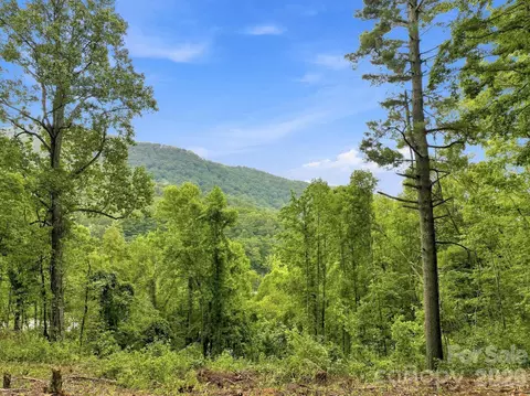 193 Fern Cove Ln, Gerton, NC 28735
