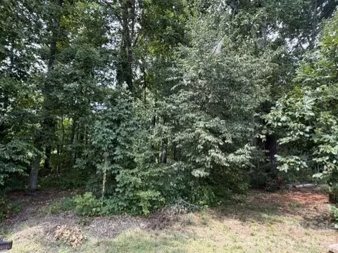 809 2nd Se St SE, Conover, NC 28613 photo 4