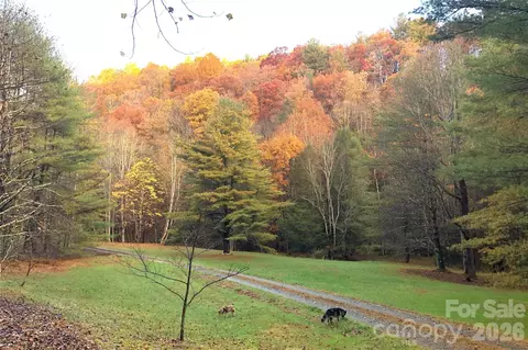 Other - 982 Jakes Mountain Rd, Deep Gap, NC 28618 photo 19 of 20