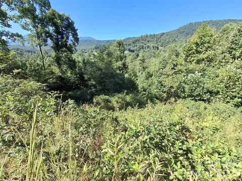 1 River Crst, Burnsville, NC 28714 photo 5