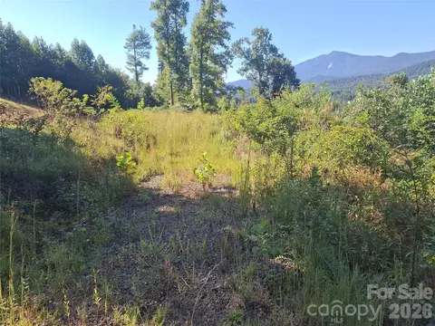 1 River Crst, Burnsville, NC 28714 photo 9