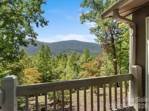 Exterior - 600 Piney Gate Rd, Saluda, NC 28773 photo 10 of 11