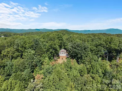 Other - 600 Piney Gate Rd, Saluda, NC 28773 photo 4 of 9
