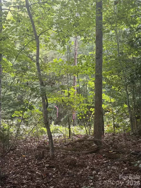 Edgewood Road, Wilkesboro, NC 28697