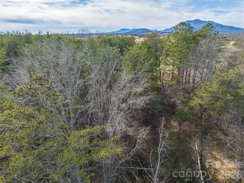 0000 High Meadows 57 Dr #57, Mill Spring, NC 28756 photo 16