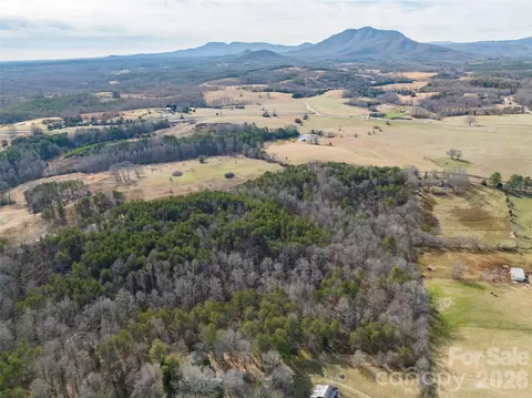0000 High Meadows 57 Dr #57, Mill Spring, NC 28756 photo 12
