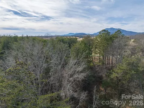 0000 High Meadows 57 Dr #57, Mill Spring, NC 28756 photo 17