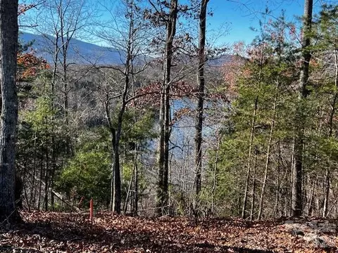 23 Mountain Pkwy, Mill Spring, NC 28756 photo 3