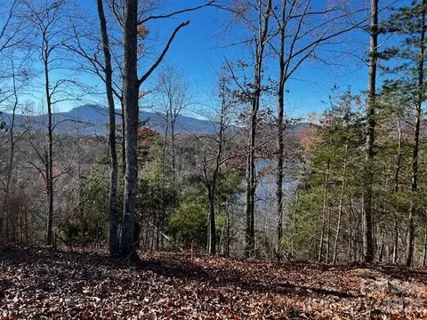 23 Mountain Pkwy, Mill Spring, NC 28756 photo 4
