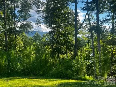 23 Mountain Pkwy, Mill Spring, NC 28756 photo 2