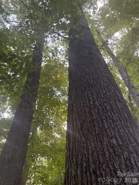 Edgewood Road, Wilkesboro, NC 28697