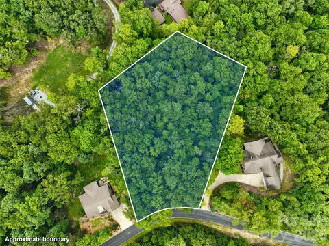 230 Shining Rock 64 Path #64, Horse Shoe, NC 28742