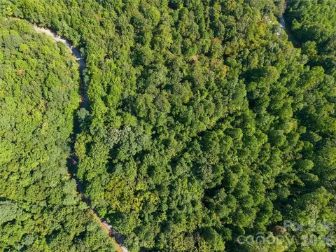 0 Cherry 221 Hl #221, Mill Spring, NC 28756 photo 9