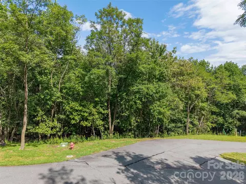 0 Deep Gap Farm W 2040 Rd W #2040, Mill Spring, NC 28756 photo 4
