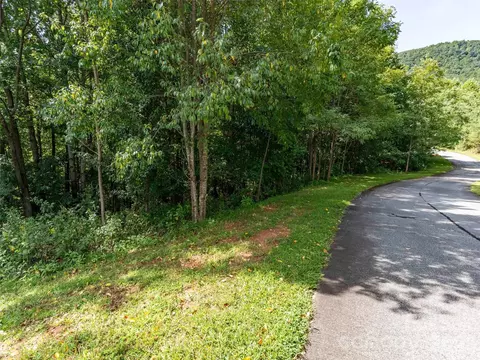 0 Deep Gap Farm W 2061 Rd W #2061, Mill Spring, NC 28756 photo 3