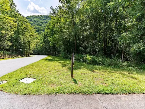 0 Deep Gap Farm W 2061 Rd W #2061, Mill Spring, NC 28756 photo 2