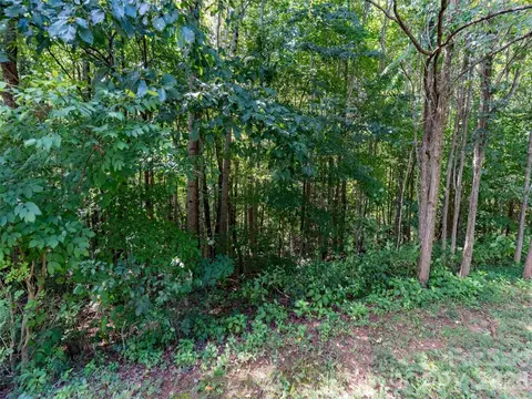 0 Deep Gap Farm W 2061 Rd W #2061, Mill Spring, NC 28756 photo 4