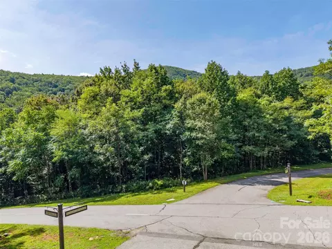 0 Deep Gap Farm W 2061 Rd W #2061, Mill Spring, NC 28756 photo 5