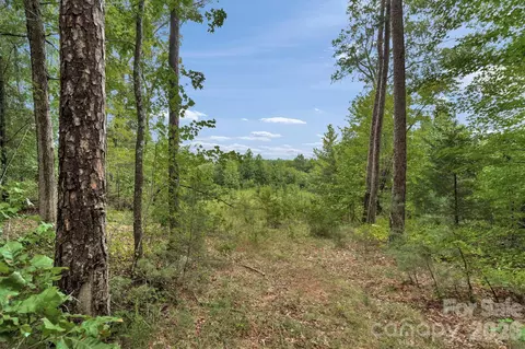 00 Mountain Rd, Cleveland, NC 27013