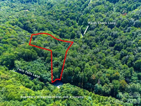 0 Harm Creek 2142 Loop #2142, Mill Spring, NC 28756 photo 11