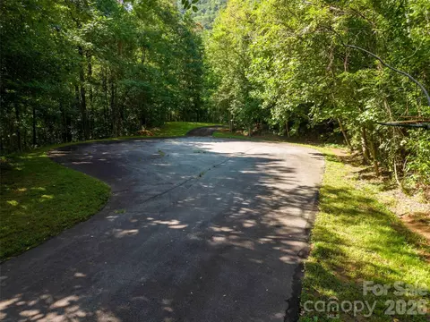 0 Harm Creek 2142 Loop #2142, Mill Spring, NC 28756 photo 6