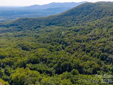 0 Harm Creek 2142 Loop #2142, Mill Spring, NC 28756 photo 13