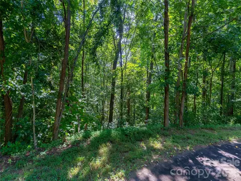 0 Harm Creek 2142 Loop #2142, Mill Spring, NC 28756 photo 5
