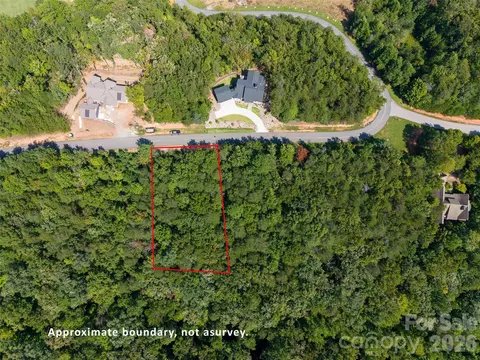 0 Deep Gap Farm W 2007 Rd W #2007, Mill Spring, NC 28756 photo 6