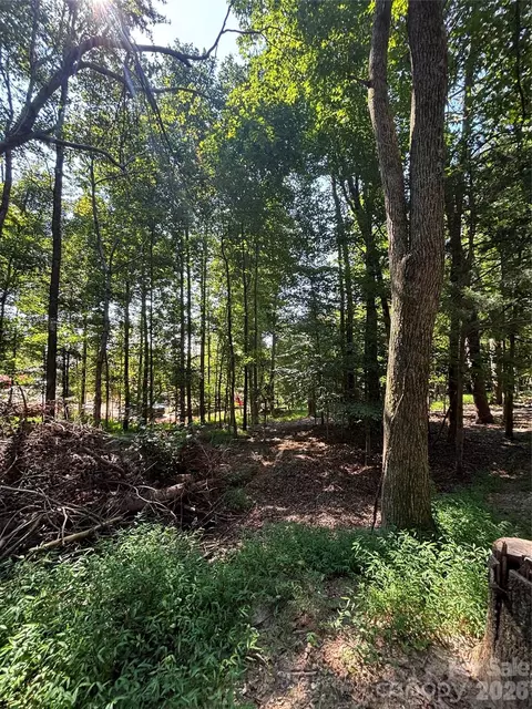 000 Pineview Ct, Tryon, NC 28782 photo 5