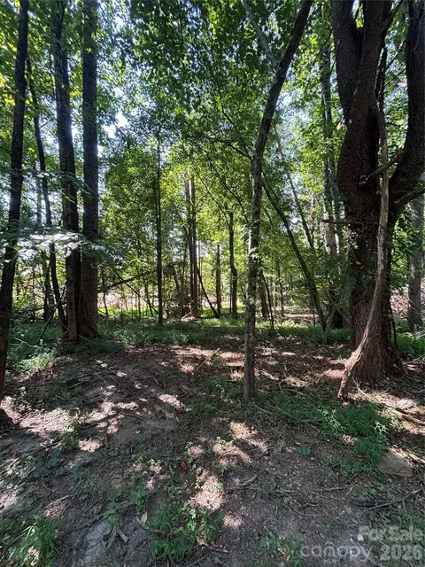 000 Pineview Ct, Tryon, NC 28782 photo 3