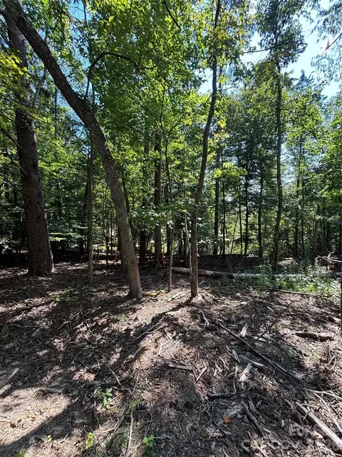 000 Pineview Ct, Tryon, NC 28782 photo 6