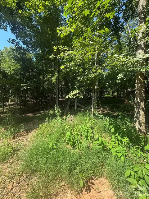 000 Pineview Ct, Tryon, NC 28782 photo 2