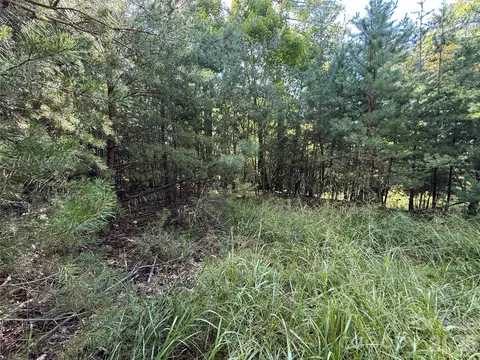24 Wolf Pen Road #24, Purlear, NC 28665 photo 8