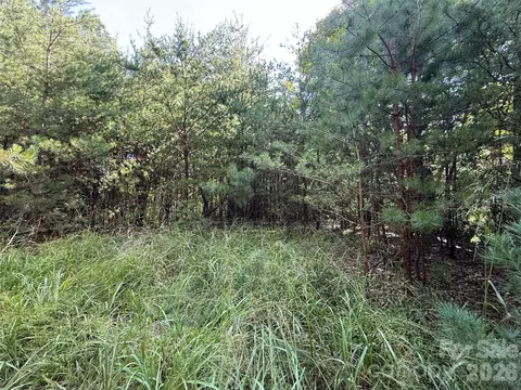 24 Wolf Pen Road #24, Purlear, NC 28665 photo 6