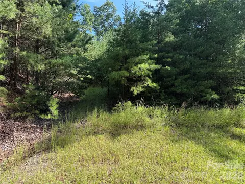 24 Wolf Pen Road #24, Purlear, NC 28665 photo 3