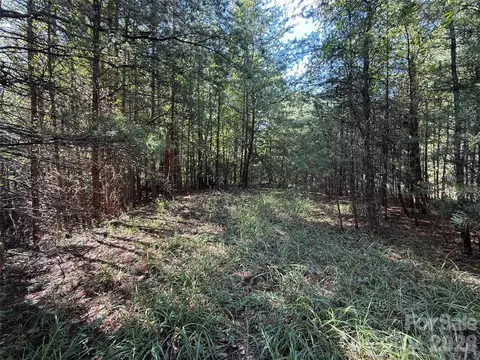 24 Wolf Pen Road #24, Purlear, NC 28665 photo 10