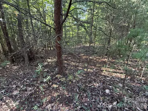 24 Wolf Pen Road #24, Purlear, NC 28665 photo 12