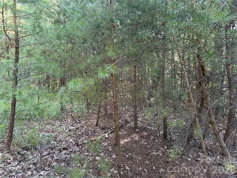 24 Wolf Pen Road #24, Purlear, NC 28665 photo 5