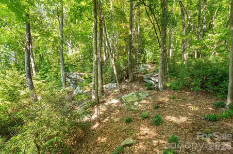 107 Copperhead Cv, Fairview, NC 28730 photo 27