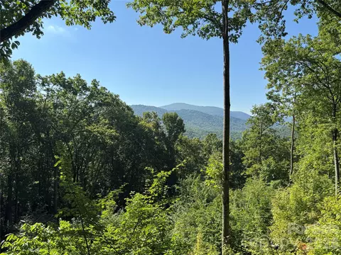 107 Copperhead Cv, Fairview, NC 28730 photo 44