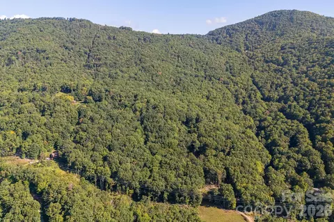 107 Copperhead Cv, Fairview, NC 28730 photo 37